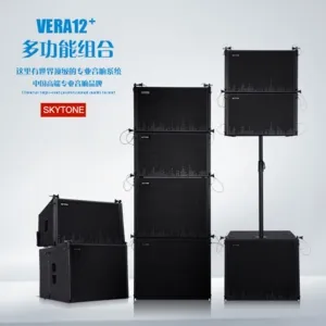 Vera12+ 12 Inch Line Array Sound System DJ Equipment 